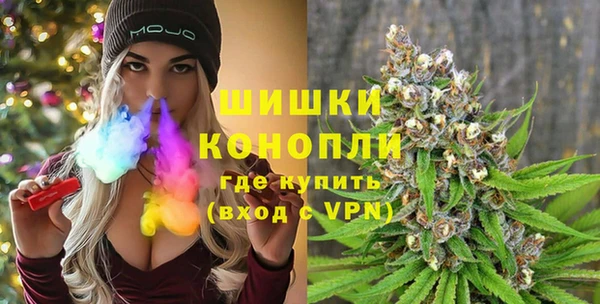 ПСИЛОЦИБИНОВЫЕ ГРИБЫ Абаза
