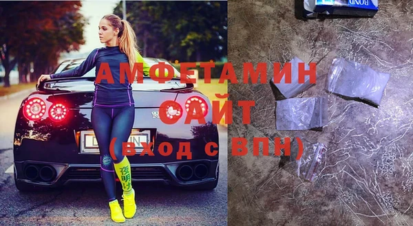 стафф Алексин