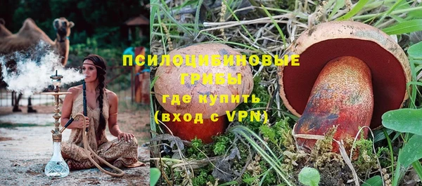 ПСИЛОЦИБИНОВЫЕ ГРИБЫ Абаза