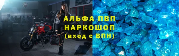 ПСИЛОЦИБИНОВЫЕ ГРИБЫ Абаза