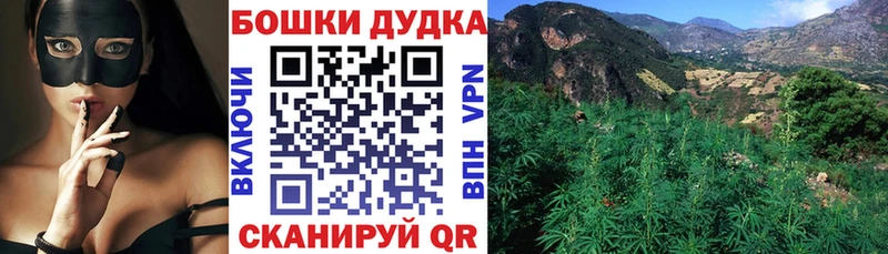 Конопля гибрид Поворино